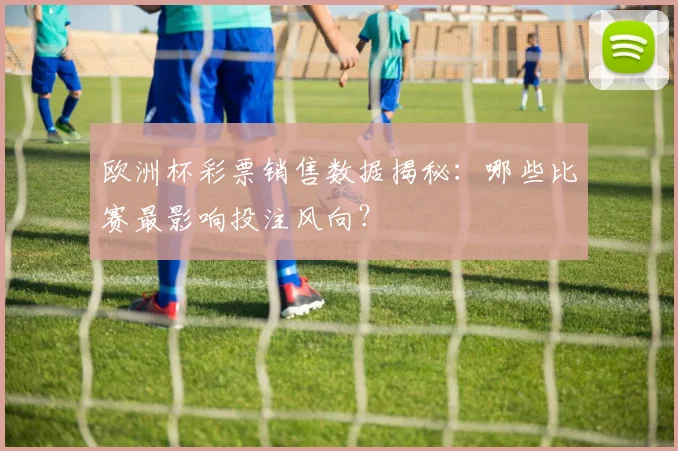 欧洲杯彩票销售数据揭秘：哪些比赛最影响投注风向？