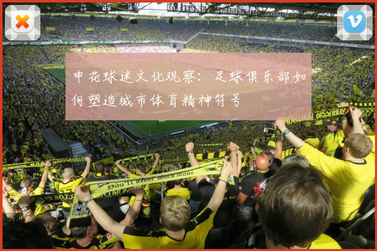 申花球迷文化观察：足球俱乐部如何塑造城市体育精神符号